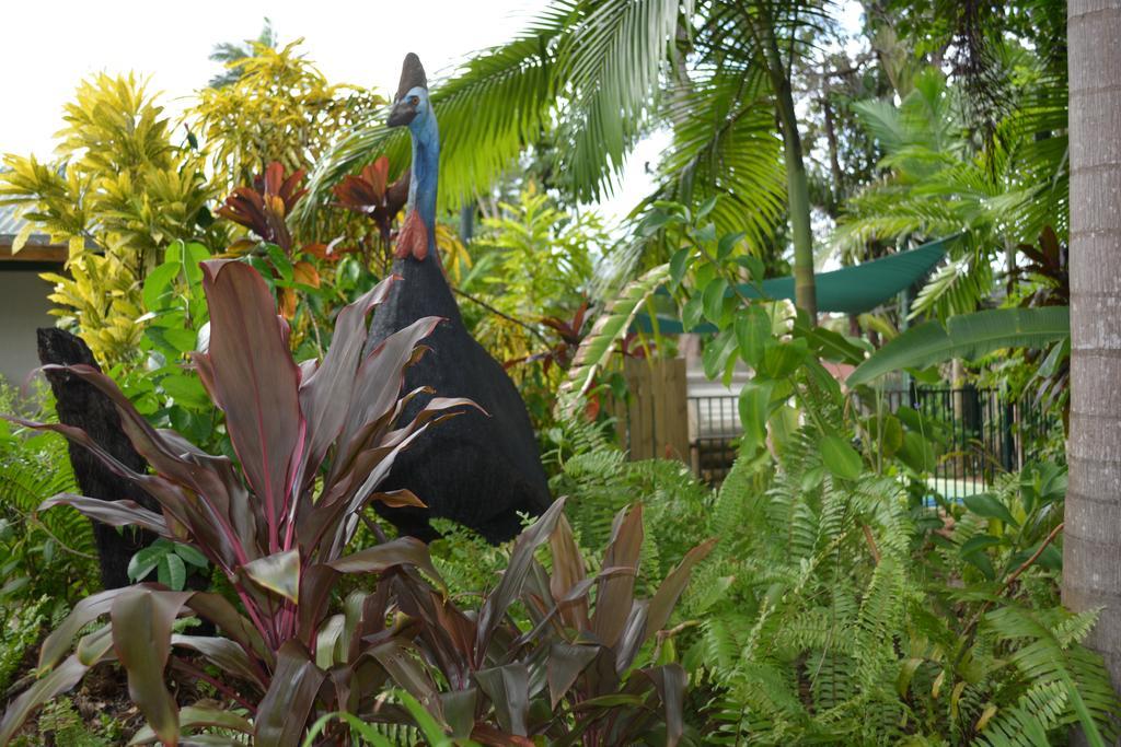 Rainforest Motel Mission Beach Extérieur photo