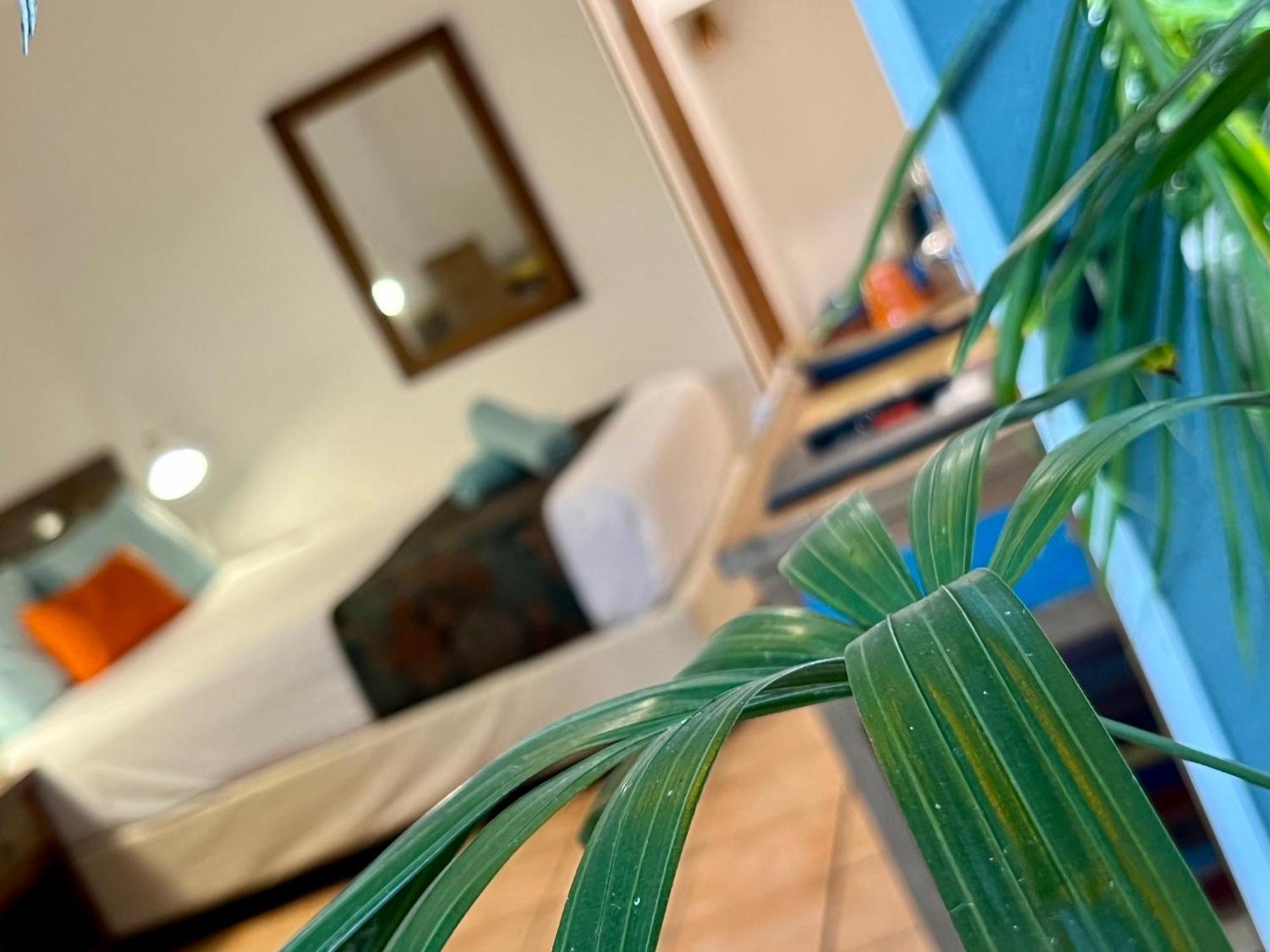 Rainforest Motel Mission Beach Extérieur photo